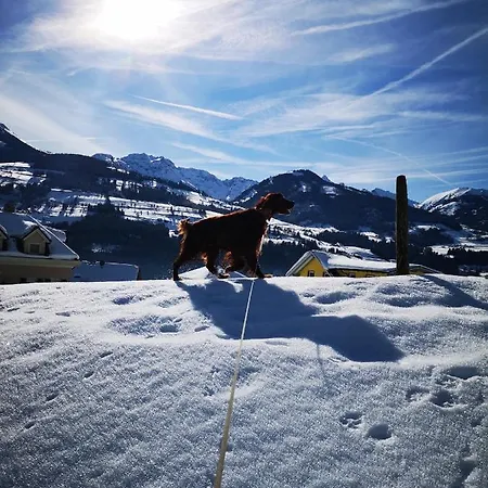 Schneekristall آيش